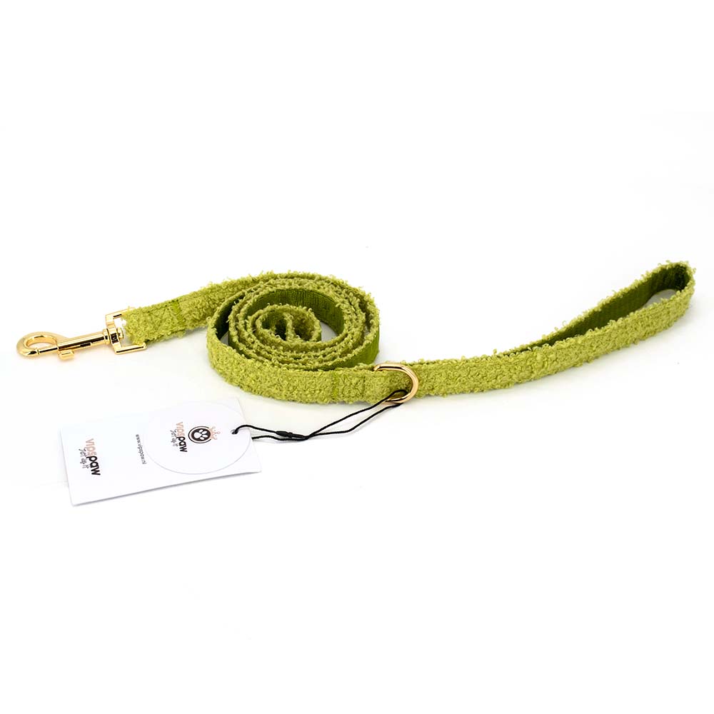 teddy dog leash forest, front image