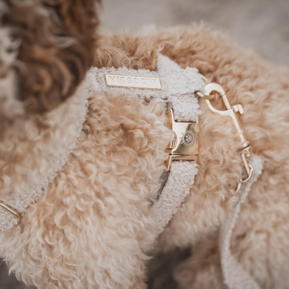 Hond draagt VIPSPAW teddy hondentuig in beige, comfortabel en stijlvol ontwerp